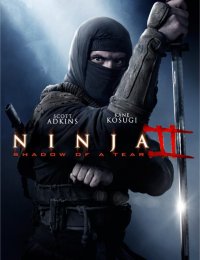 Ниндзя 2 (2013)